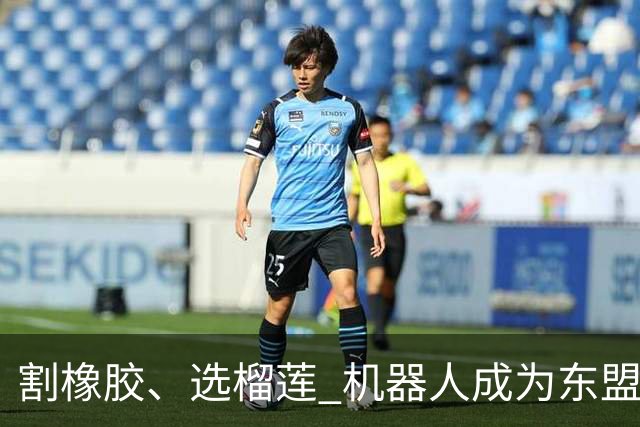 割橡胶、选榴莲 机器人成为东盟市场“新宠” 各国释放明确需求信号